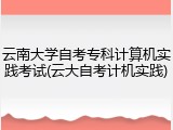 云南大学自考专科计算机实践考试(云大自考计机实践)