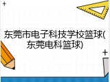 东莞市电子科技学校篮球(东莞电科篮球)
