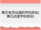 黄石有学动漫的学校排名(黄石动漫学校排名)