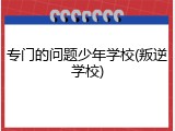 专门的问题少年学校(叛逆学校)