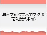 湖南学动漫美术的学校(湖南动漫美术校)