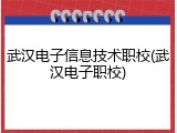 武汉电子信息技术职校(武汉电子职校)