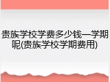 贵族学校学费多少钱一学期呢(贵族学校学期费用)