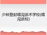 少林登封塔沟武术学校(塔沟武校)
