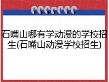 石嘴山哪有学动漫的学校招生(石嘴山动漫学校招生)