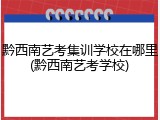 黔西南艺考集训学校在哪里(黔西南艺考学校)