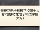 攀枝花电子科技学校属于大专吗(攀枝花电子科技学校大专)