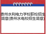 贵州水利电力学校职校招生简章(贵州水电校招生简章)