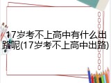 17岁考不上高中有什么出路呢(17岁考不上高中出路)