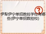 伊犁伊宁单招数控学校有哪些(伊宁单招数控校)