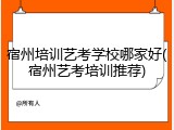 宿州培训艺考学校哪家好(宿州艺考培训推荐)