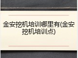 金安挖机培训哪里有(金安挖机培训点)