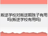 叛逆学校对叛逆期孩子有用吗(叛逆学校有用吗)