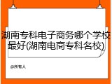 湖南专科电子商务哪个学校最好(湖南电商专科名校)