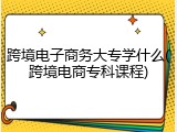 跨境电子商务大专学什么(跨境电商专科课程)