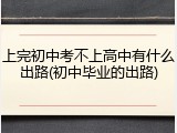 上完初中考不上高中有什么出路(初中毕业的出路)