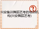 兴安集训舞蹈艺考的培训机构(兴安舞蹈艺考)