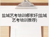 盐城艺考培训哪家好(盐城艺考培训推荐)