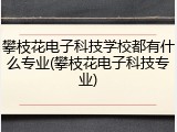 攀枝花电子科技学校都有什么专业(攀枝花电子科技专业)