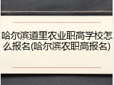 哈尔滨道里农业职高学校怎么报名(哈尔滨农职高报名)