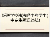 叛逆学校违法吗中专学生(中专生叛逆违法)