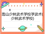 嵩山少林武术学校学武术(少林武术学校)