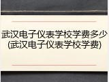 武汉电子仪表学校学费多少(武汉电子仪表学校学费)
