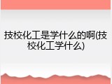 技校化工是学什么的啊(技校化工学什么)
