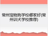 常州宠物狗学校哪家好(常州训犬学校推荐)