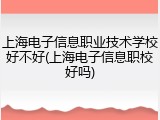 上海电子信息职业技术学校好不好(上海电子信息职校好吗)