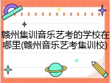 赣州集训音乐艺考的学校在哪里(赣州音乐艺考集训校)