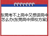 东莞考不上高中又想读高中怎么办(东莞高中择校方案)