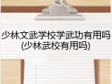 少林文武学校学武功有用吗(少林武校有用吗)