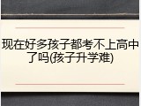 现在好多孩子都考不上高中了吗(孩子升学难)