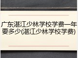广东湛江少林学校学费一年要多少(湛江少林学校学费)