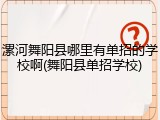 漯河舞阳县哪里有单招的学校啊(舞阳县单招学校)