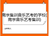 南京集训音乐艺考的学校(南京音乐艺考集训)