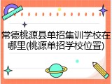 常德桃源县单招集训学校在哪里(桃源单招学校位置)