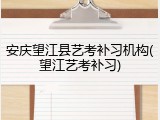 安庆望江县艺考补习机构(望江艺考补习)