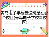 青岛电子学校普通班是在哪个校区(青岛电子学校普校区)