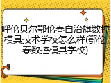呼伦贝尔鄂伦春自治旗数控模具技术学校怎么样(鄂伦春数控模具学校)