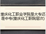 重庆化工职业学院是大专还是中专(重庆化工职院层次)