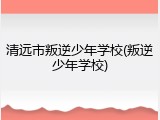 清远市叛逆少年学校(叛逆少年学校)