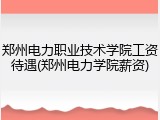 郑州电力职业技术学院工资待遇(郑州电力学院薪资)