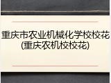 重庆市农业机械化学校校花(重庆农机校校花)