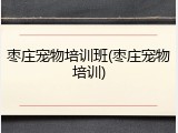 枣庄宠物培训班(枣庄宠物培训)