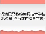 河池巴马数控模具技术学校怎么样(巴马数控模具学校)