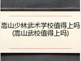 嵩山少林武术学校值得上吗(嵩山武校值得上吗)