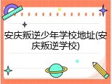 安庆叛逆少年学校地址(安庆叛逆学校)