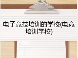 电子竞技培训的学校(电竞培训学校)